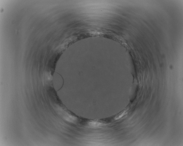 X0000065260614200602242116