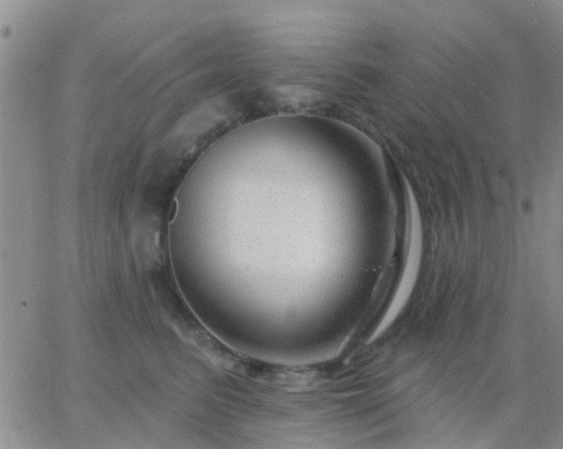 X0000065260615200602242116