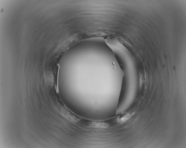 X0000065260617200602242116