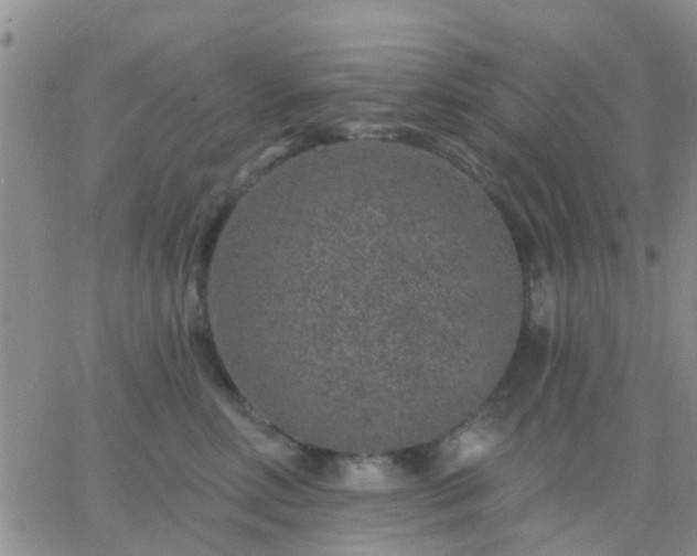 X0000065260618200602242116