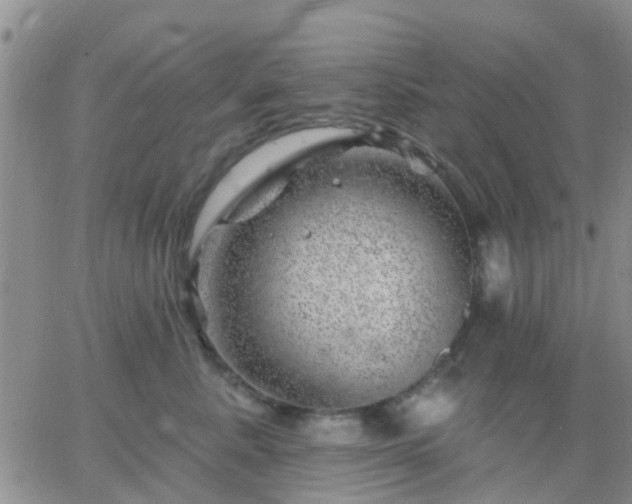 X0000065260619200602242116