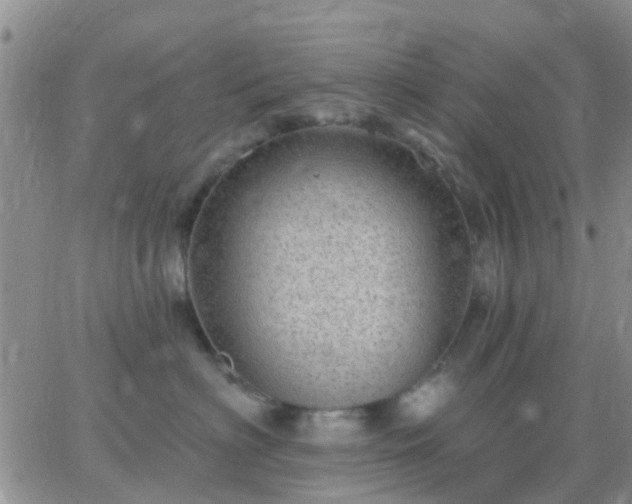 X0000065260622200602242116