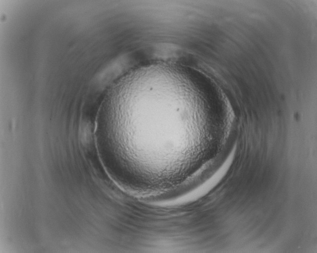 X0000065260623200602242116