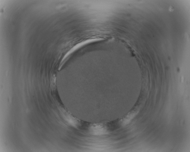 X0000065260624200602242116