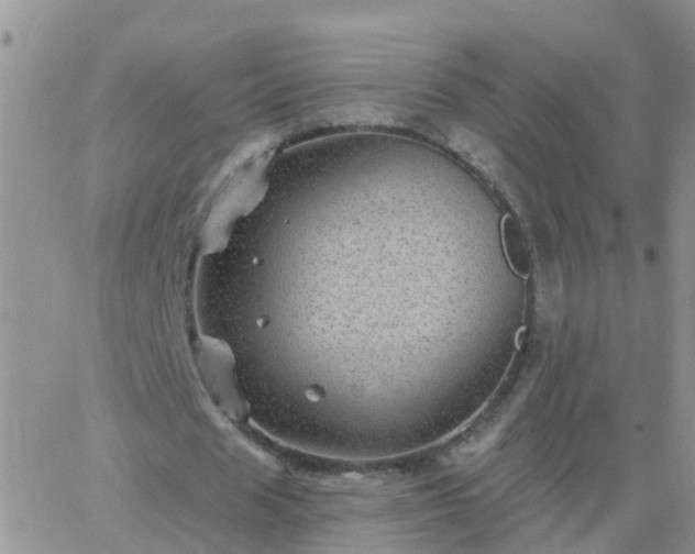 X0000065260625200602242115