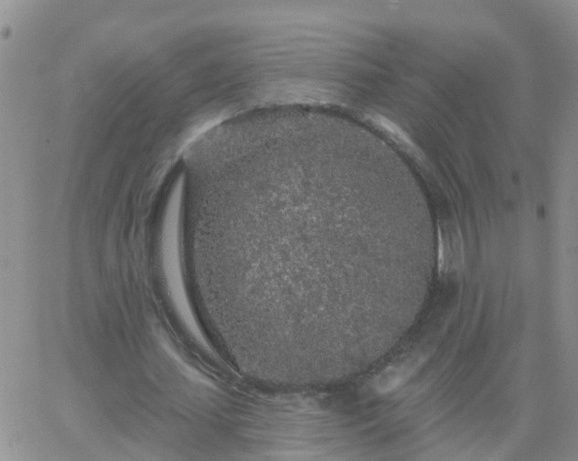 X0000065260627200602242115