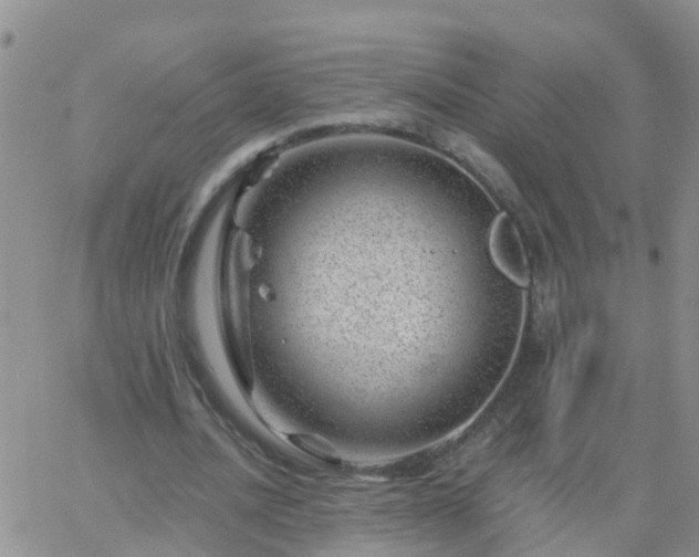 X0000065260628200602242115