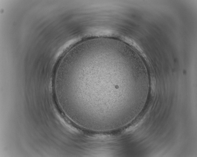 X0000065260629200602242115