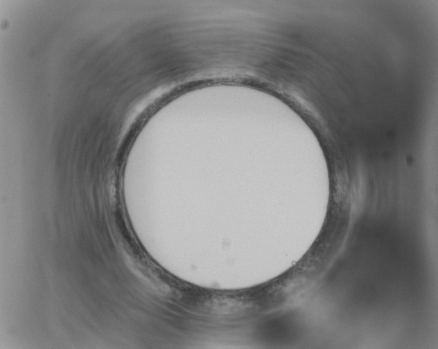 X0000065260632200602242116