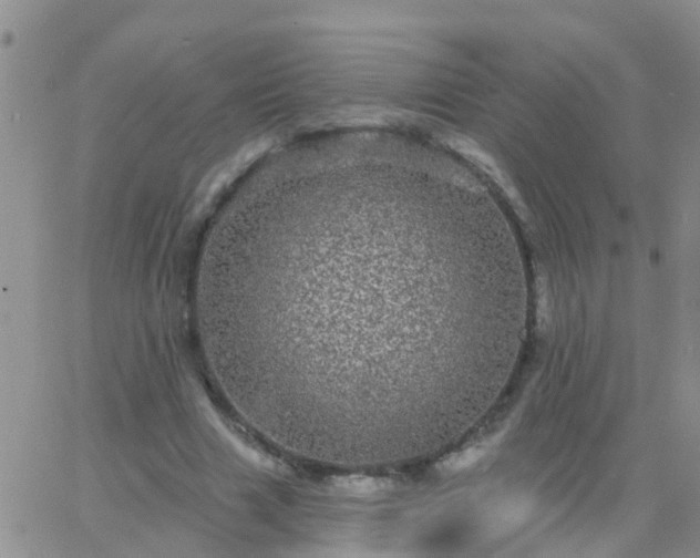 X0000065260633200602242116