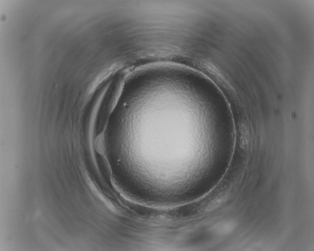 X0000065260634200602242116