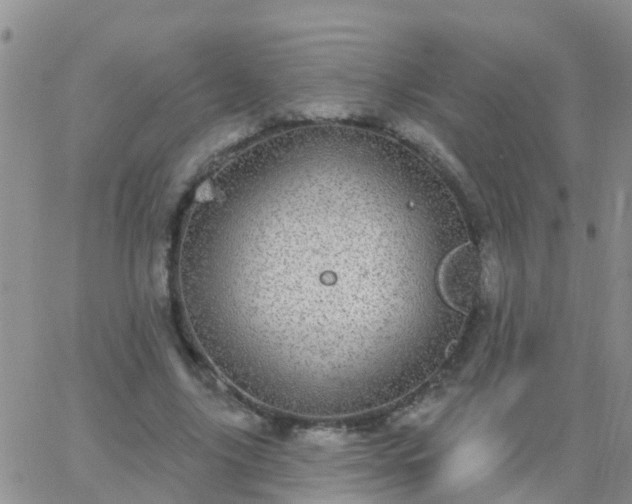 X0000065260635200602242116