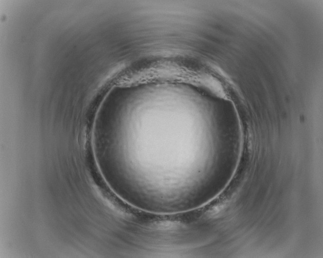 X0000065260637200602242116