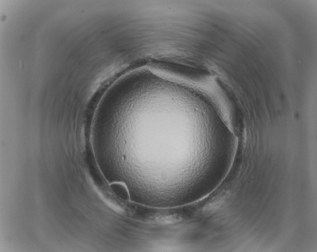 X0000065260638200602242116