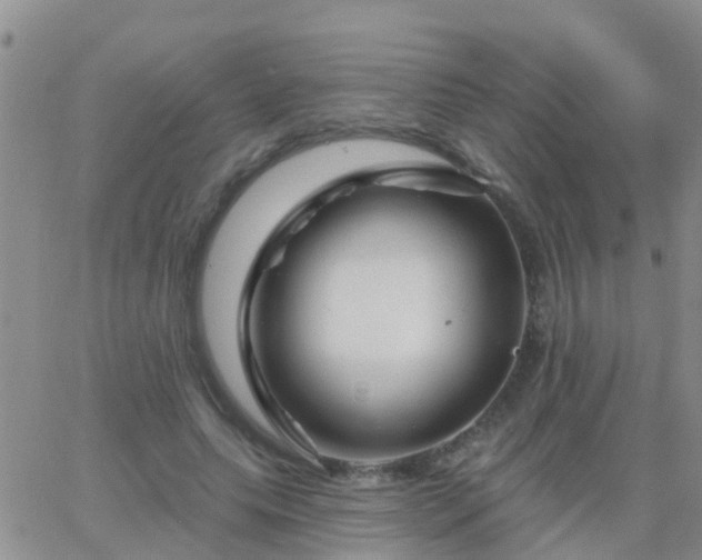 X0000065260639200602242116