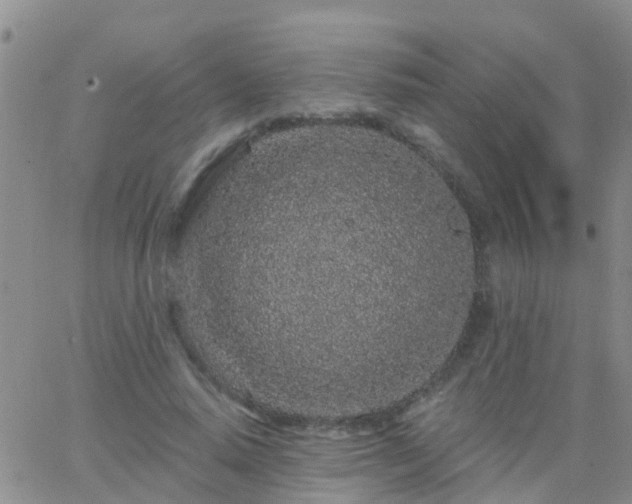 X0000065260640200602242116