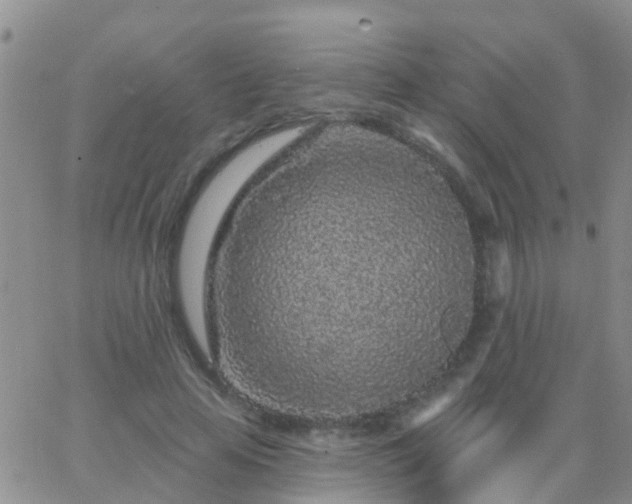 X0000065260641200602242116