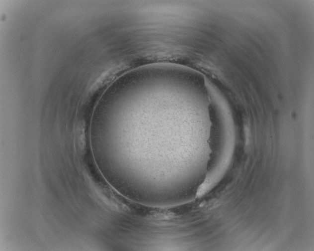 X0000065260642200602242116