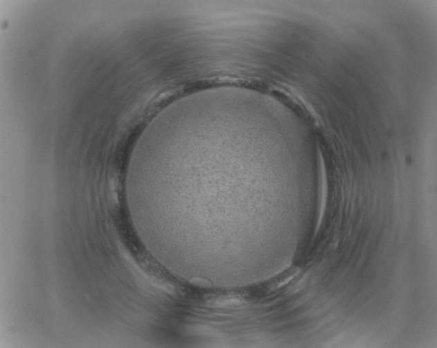 X0000065260643200602242116