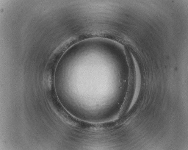 X0000065260644200602242116