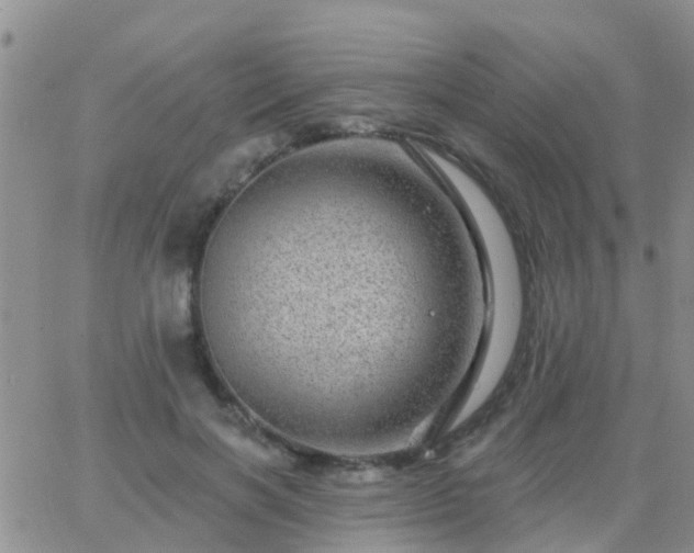 X0000065260646200602242116