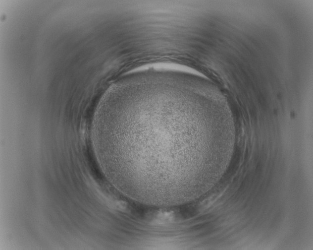 X0000065260647200602242116