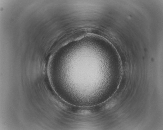 X0000065260649200602242116