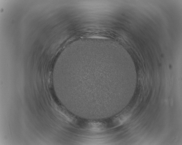 X0000065260650200602242116