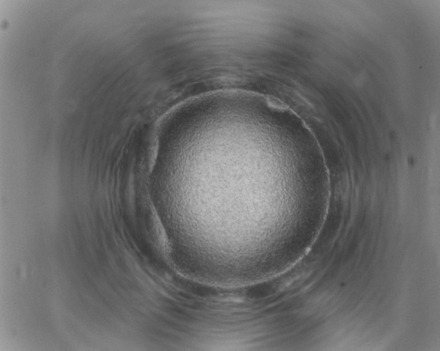 X0000065260651200602242116