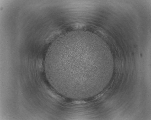 X0000065260654200602242116