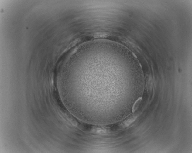 X0000065260655200602242116