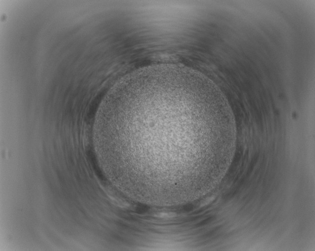 X0000065260658200602242116