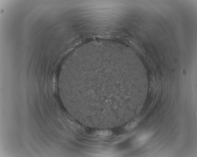 X0000065260659200602242116