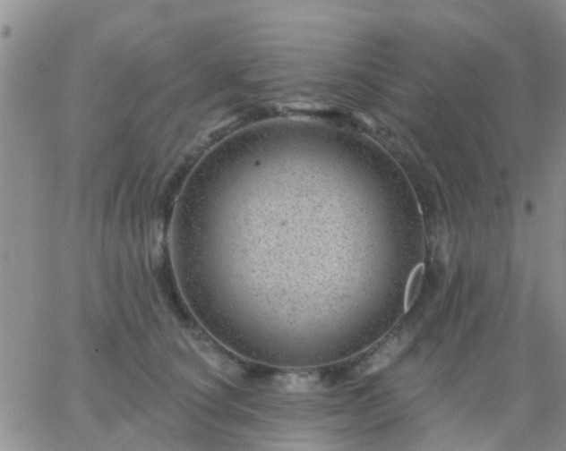 X0000065260660200602242116