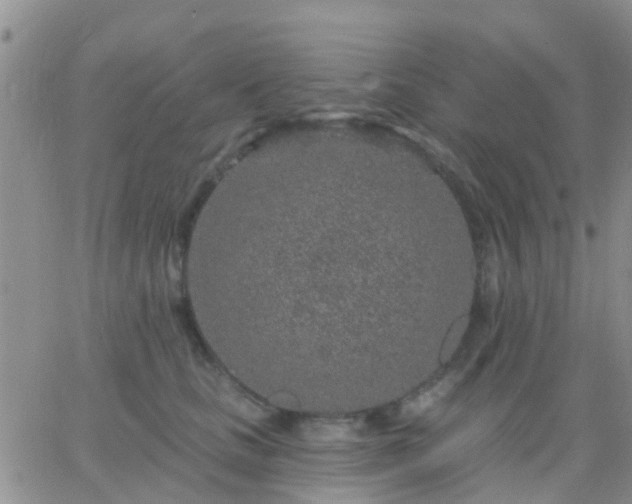 X0000065260661200602242116