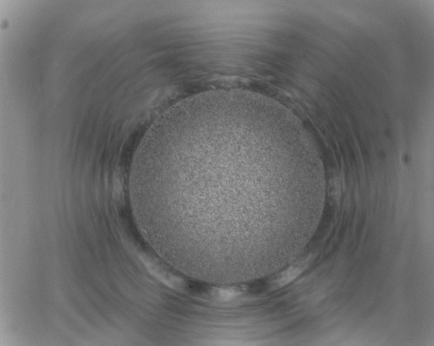 X0000065260662200602242116