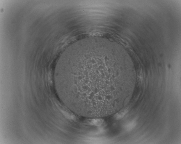 X0000065260663200602242116