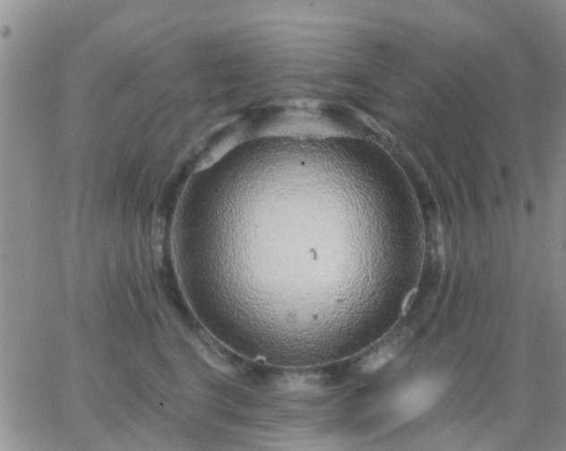 X0000065260664200602242116