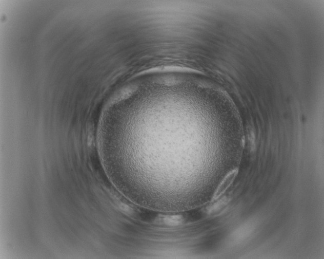 X0000065260665200602242116