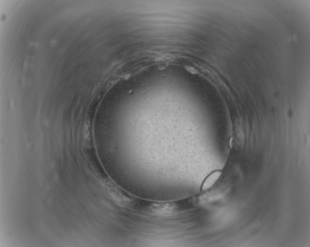 X0000065260667200602242116