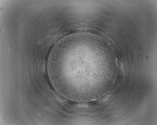 X0000065260668200602242116