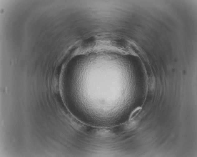 X0000065260669200602242116