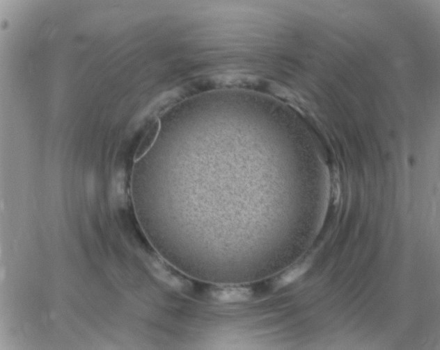 X0000065260670200602242116