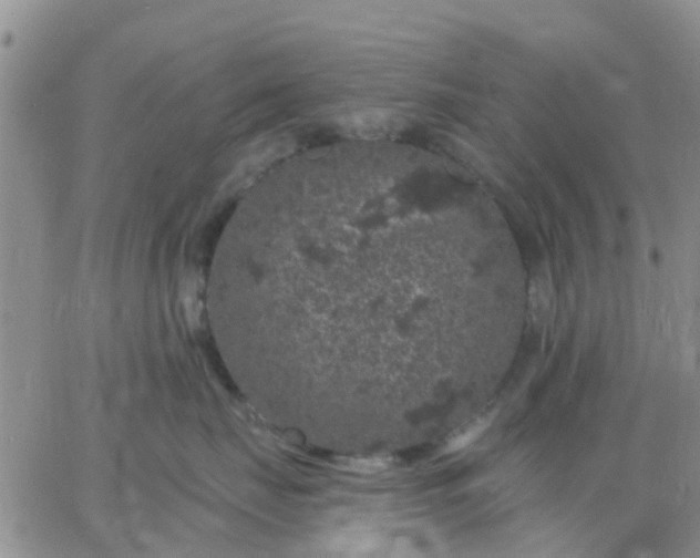 X0000065260671200602242116