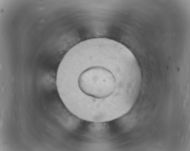 X0000065260672200602242116