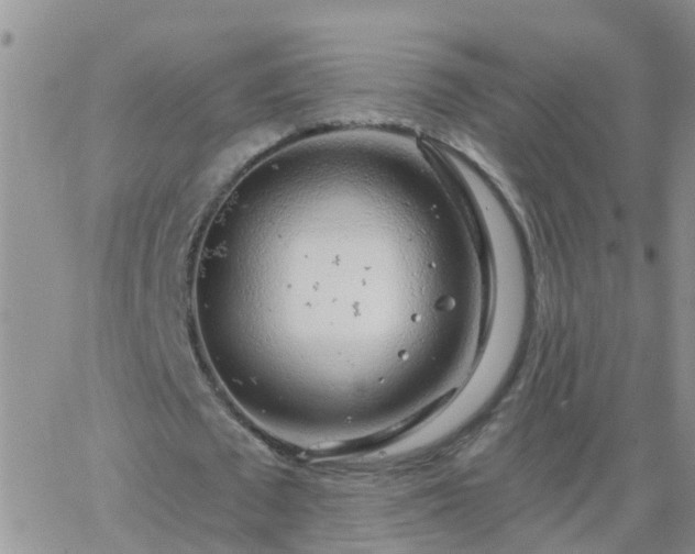 X0000065260673200602242115