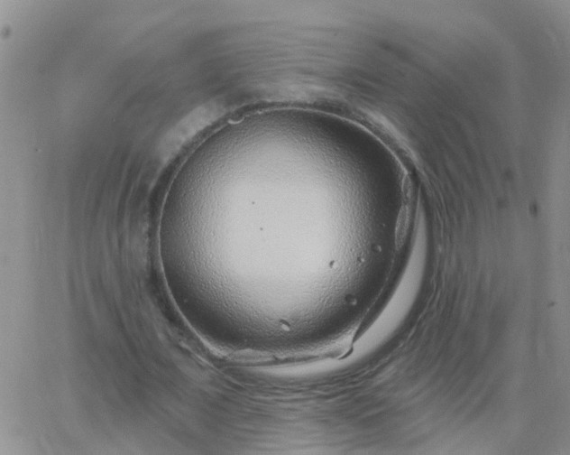 X0000065260675200602242115