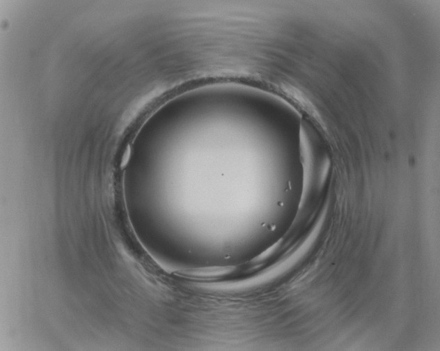 X0000065260676200602242115