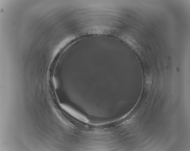 X0000065260678200602242115