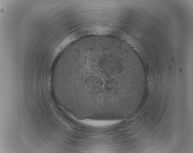 X0000065260679200602242115